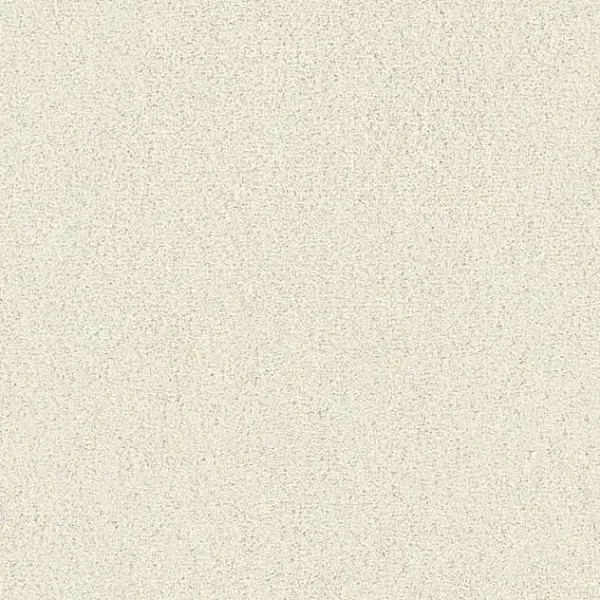 Draufsicht Girloon TWIN Teppichboden Velours 810 Hellbeige, 2/4 m breit